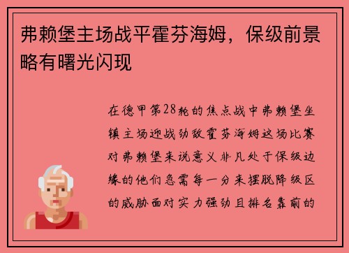 弗赖堡主场战平霍芬海姆，保级前景略有曙光闪现